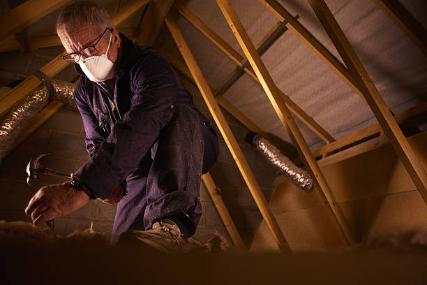 Best Specialized Insulation Services in San Marcos, TX